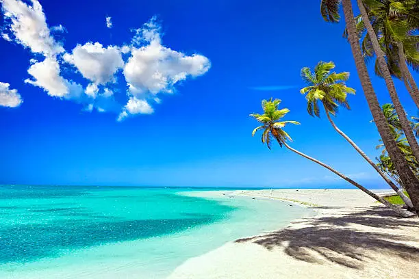 Vacation at Venezuela Beach